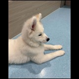 日記画像