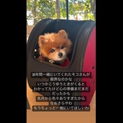 8042a865527d3bcaf75c6a12a04f2238