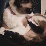 Ce9affd3c6b5424774d444231af6275d