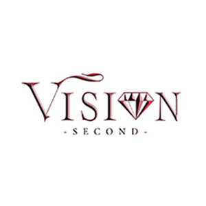 VISION -second-