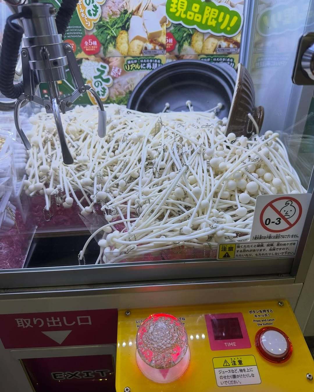 七瀬 友羽